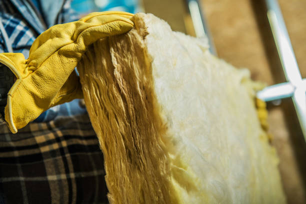 Best Cellulose Insulation in Chippewa Falls, WI